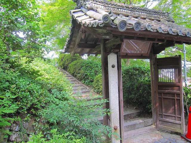 西山宮門跡『善峰寺』は日本一の松(天然記念物)_e0237645_99566.jpg