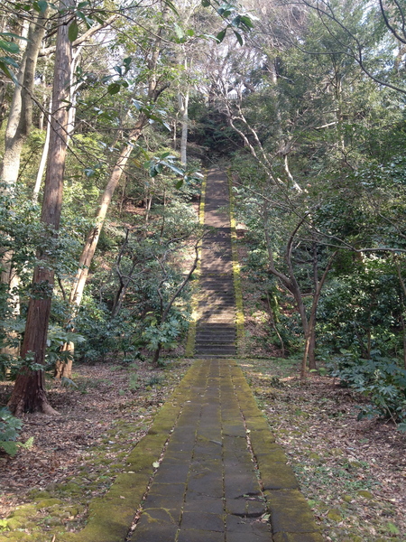 かいだん_c0126647_13145712.jpg