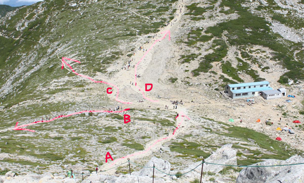 a0154957_85226.jpg