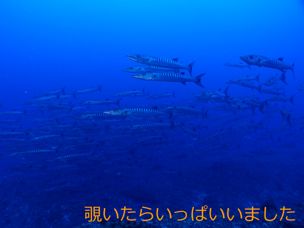 8月12日 チラットエイキョウ_d0113459_21384423.jpg