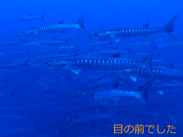 8月12日 チラットエイキョウ_d0113459_21392274.jpg