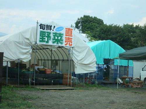 生食出来る白くて甘ーいトウモロコシ!☆ ホワイトショコラ_f0236260_12223916.jpg
