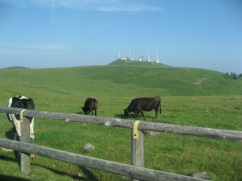 f0088864_762085.jpg
