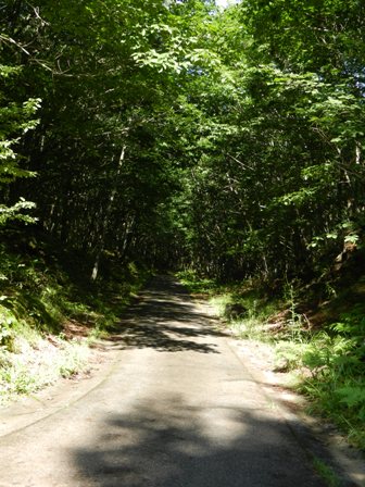d0226767_1927672.jpg