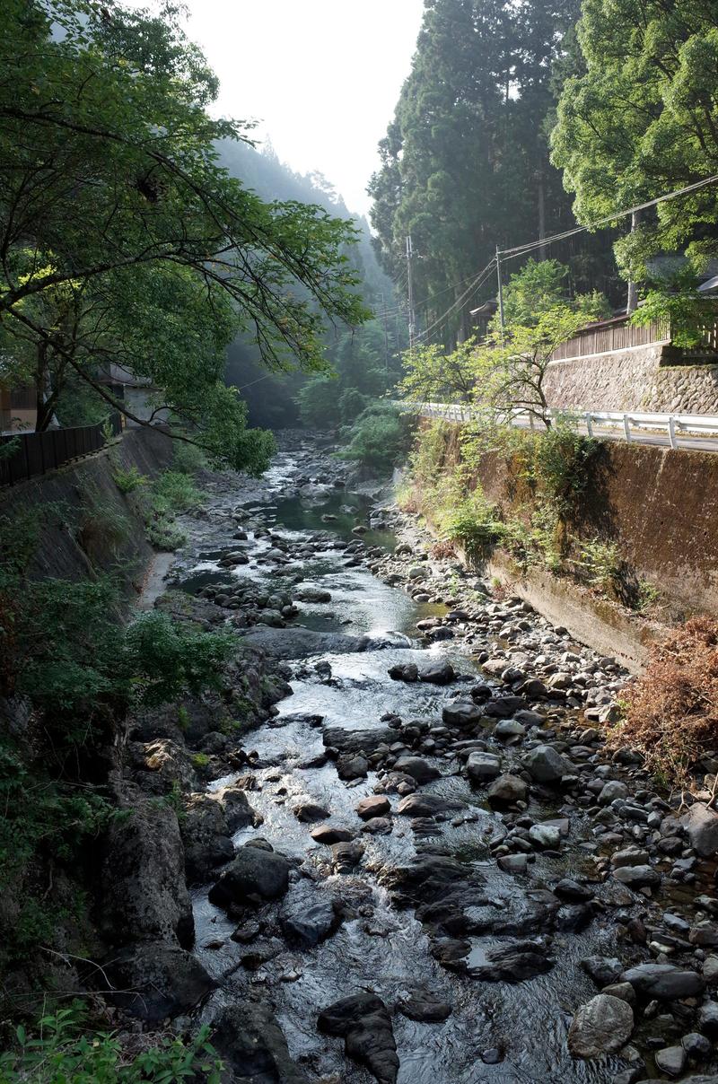 満喫！夏の大台ケ原～ブロンプトンでお山修行前編～_c0177576_2333273.jpg