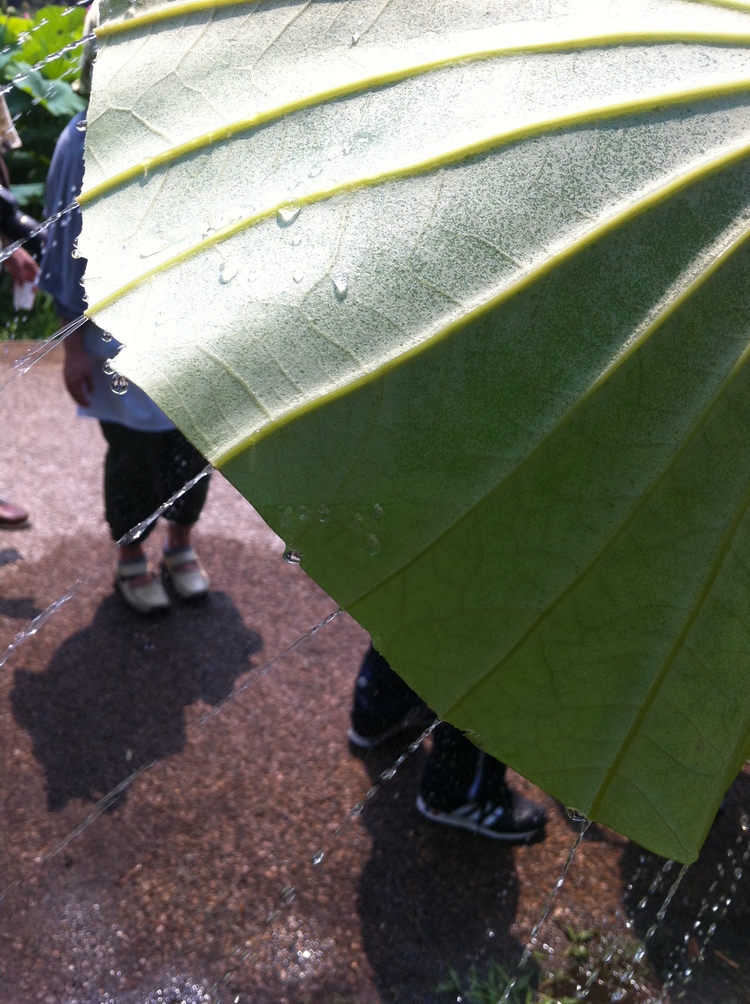 b0134285_16251615.jpg