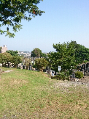a0129586_1150018.jpg