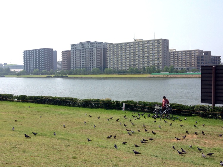 b0168993_14595182.jpg