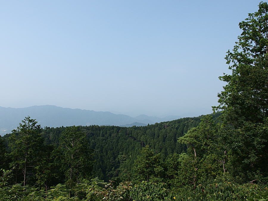 高尾山～陣馬山縦走_c0193901_7474391.jpg