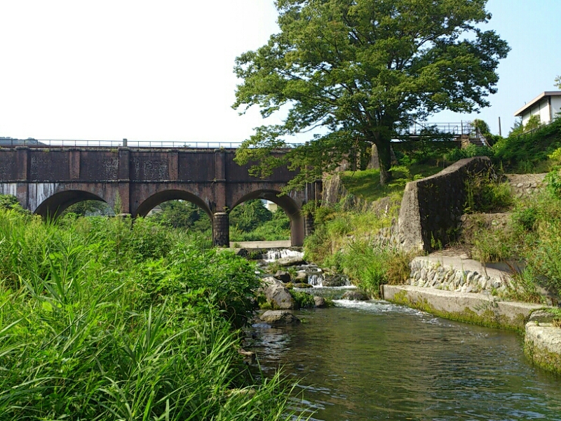 f0266202_43362.jpg