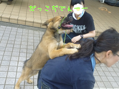 a0285205_15164326.png