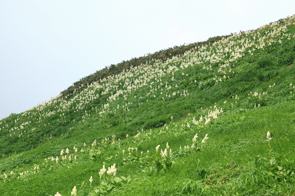 避暑登山_b0050305_10201485.jpg