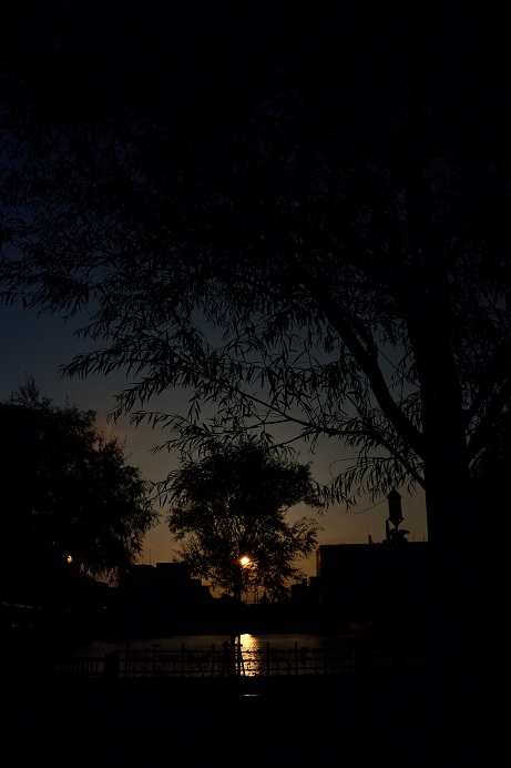 f0111308_15633.jpg