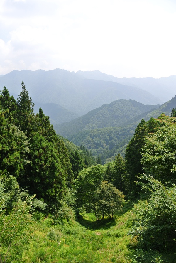 d0327814_1423466.jpg