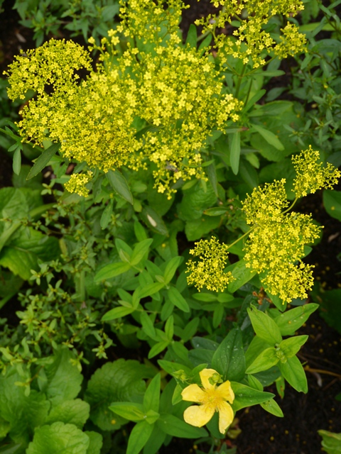 e0336214_13181477.jpg