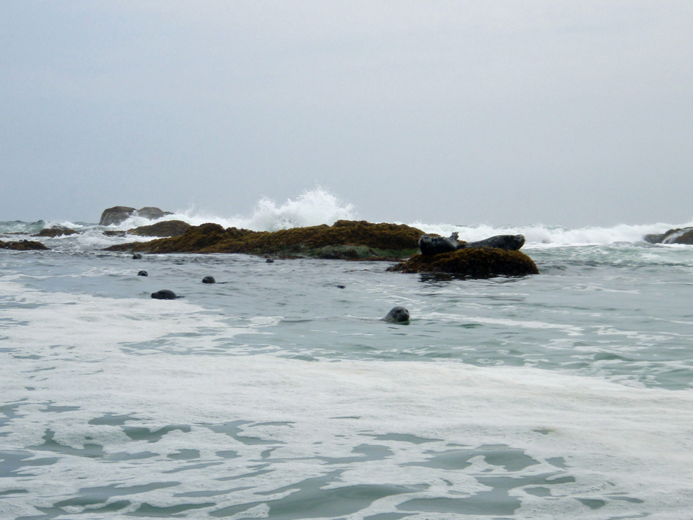 b0117718_931770.jpg