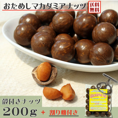 ♪新鮮 発芽野菜通信『おかえりなさい』♪_d0063218_1043213.jpg