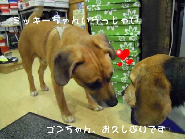 c0166622_1582643.jpg