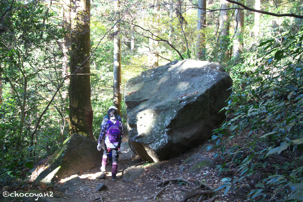 筑波山 その①　2012年11月25日(日)_d0161322_22584495.jpg