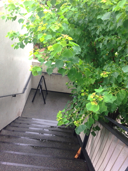 b0153224_8561537.jpg