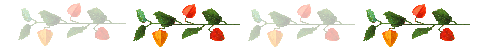 a0098027_1539248.gif