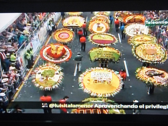 メデジンの花祭り ヨッシーのコロンビアだより メデジンの花祭り ヨッシーのコロンビアだより