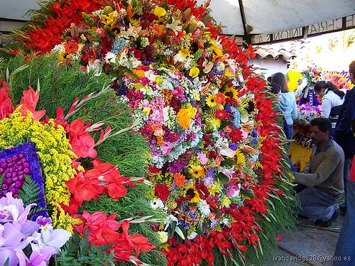 メデジンの花祭り ヨッシーのコロンビアだより メデジンの花祭り ヨッシーのコロンビアだより