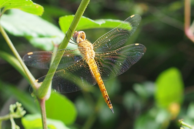 f0214527_21362164.jpg