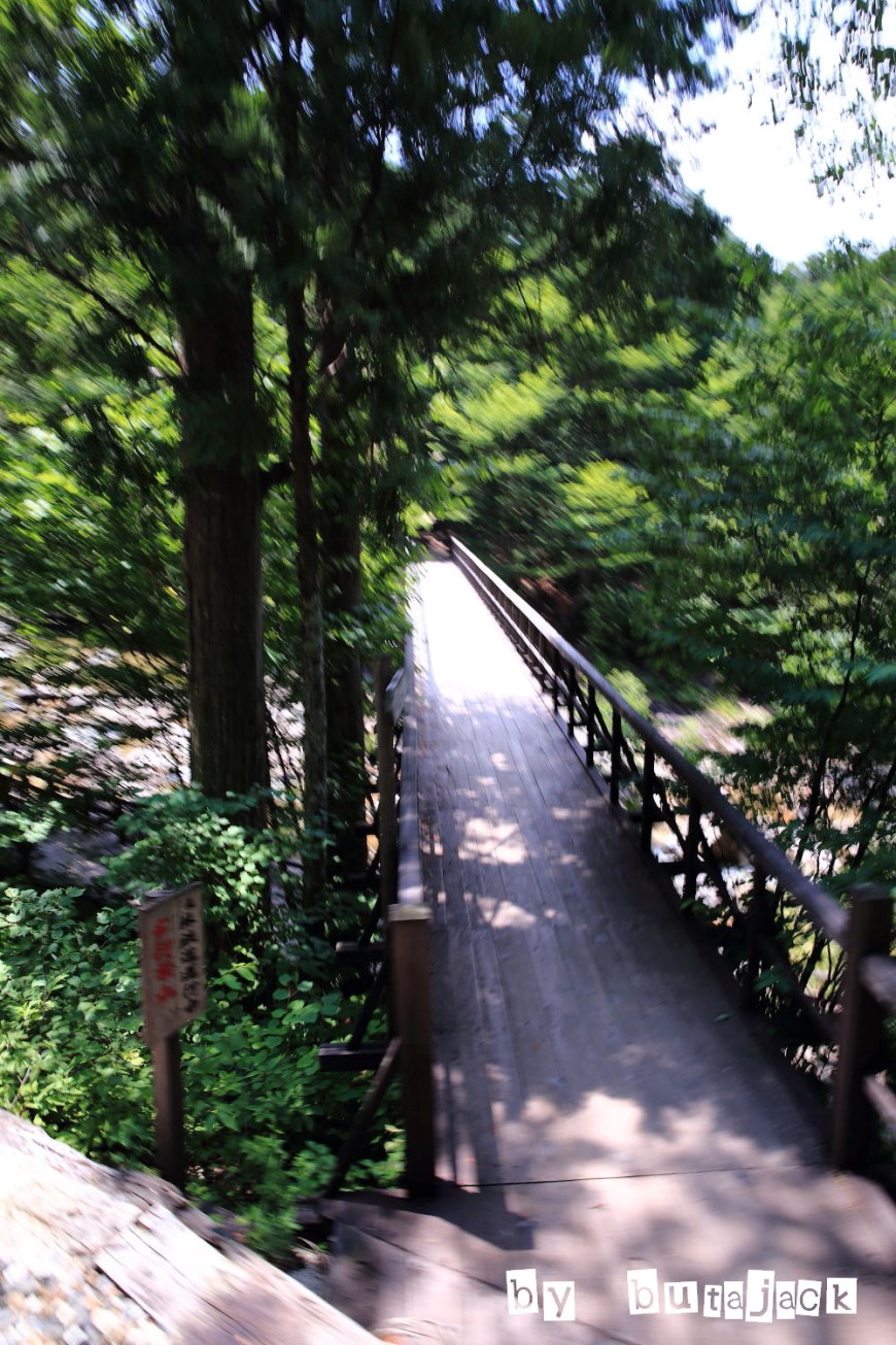 e0220828_20304422.jpg