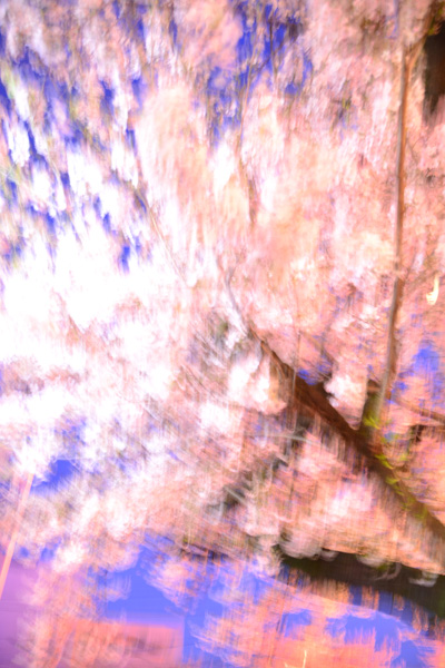e0146031_0221729.jpg
