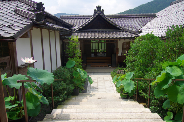 d0186245_313934.jpg