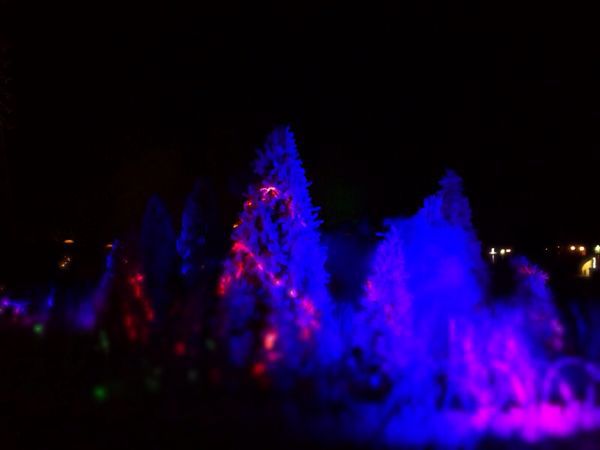 とれとれヴィレッジ_e0292546_22341033.jpg