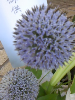e0156650_042611.jpg