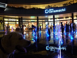 with dog その2 夜のソラマチ♪_a0165160_681553.jpg