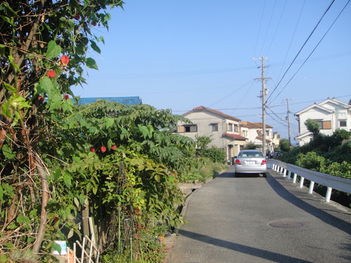 c0108460_1512728.jpg