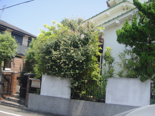 c0108460_1541413.jpg