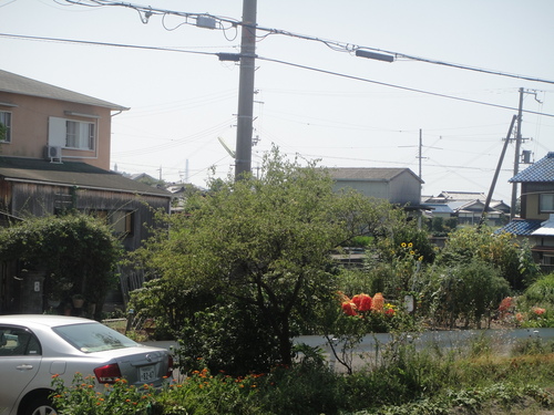 c0108460_1545338.jpg
