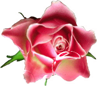 e0124761_19173351.gif