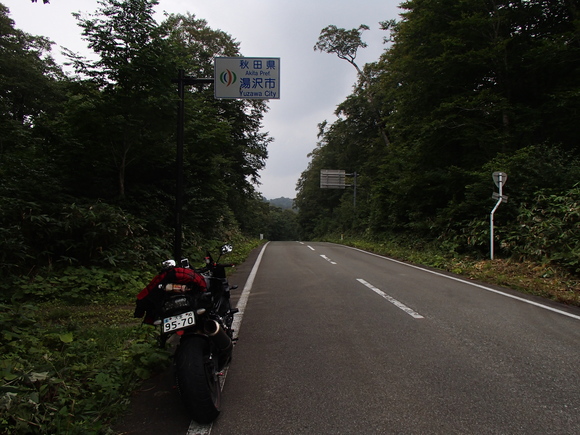 d0042380_05111.jpg