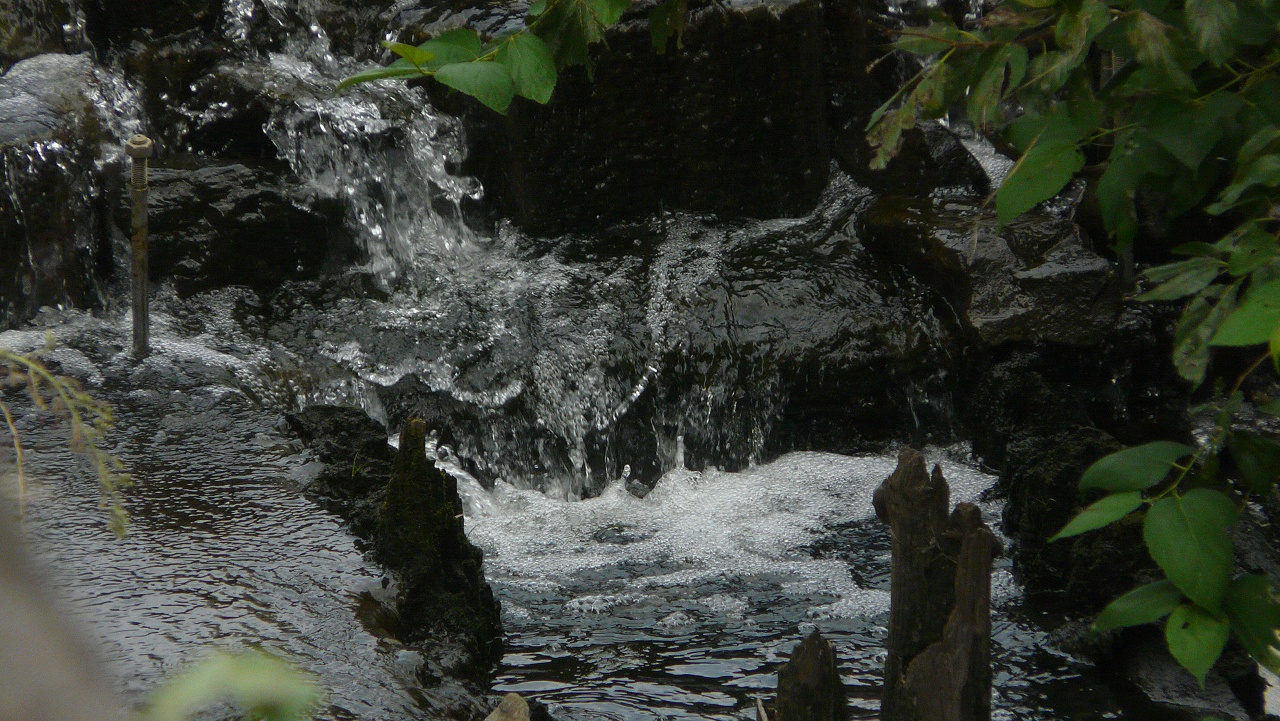 a0185081_1419310.jpg