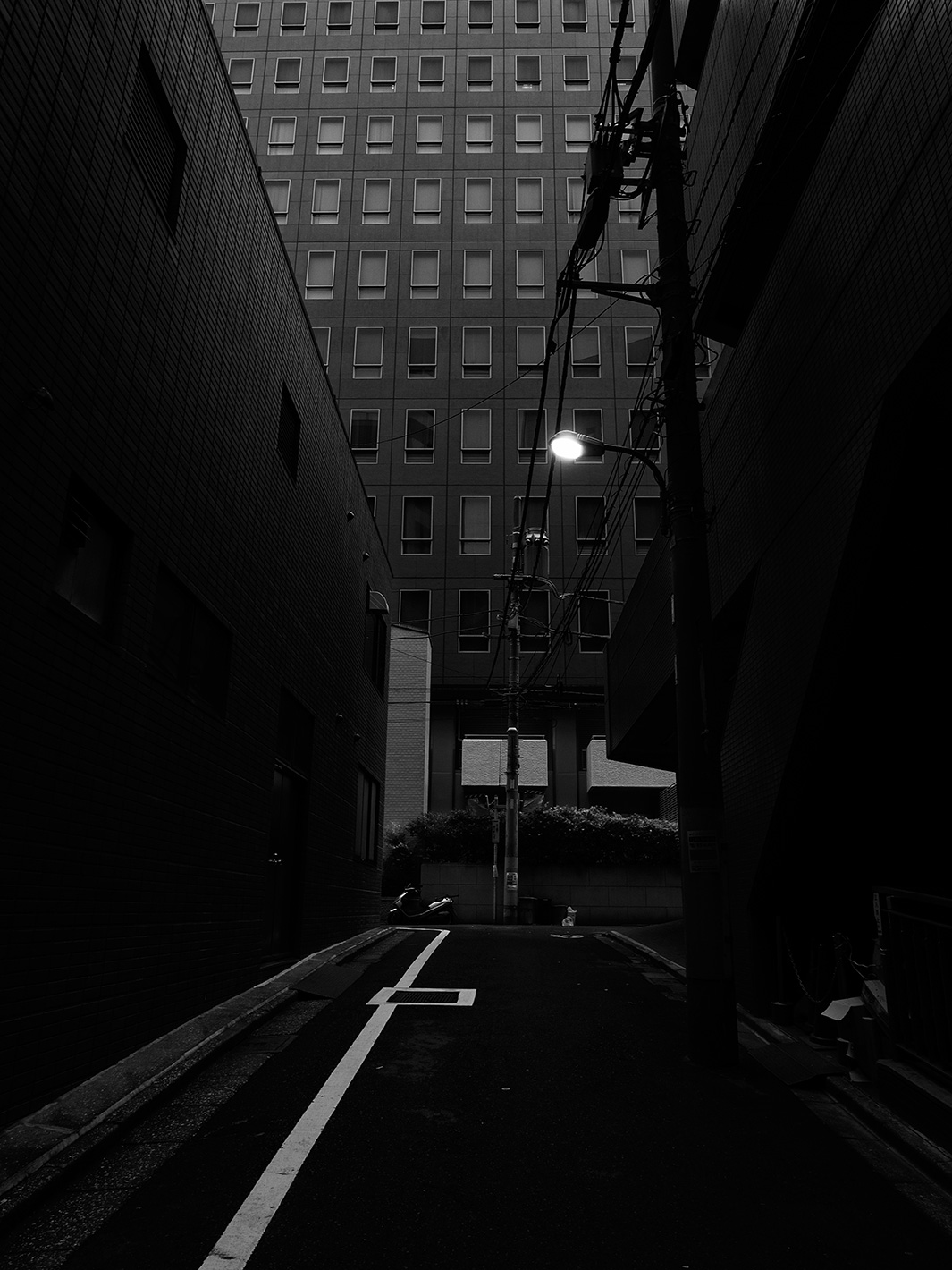 f0121181_029758.jpg