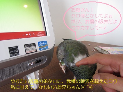 兄弟げんか_f0234590_842731.jpg