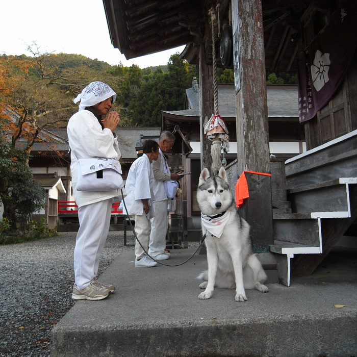 Memory of the second pilgrimage with husky HANA_c0049299_6104763.jpg