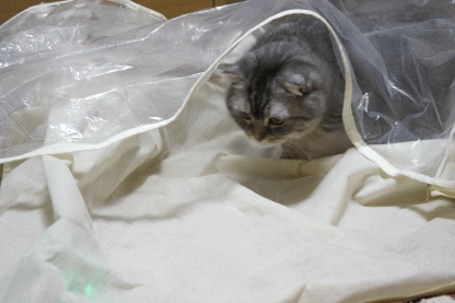 c0178104_10301614.gif