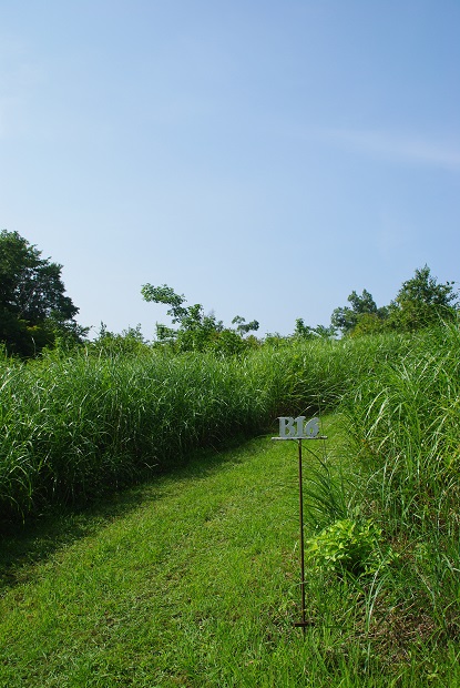f0038904_1723671.jpg