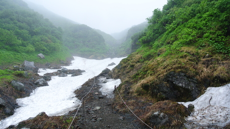 2013年8月10日強風雨の羅臼岳に登る_c0242406_15182691.jpg