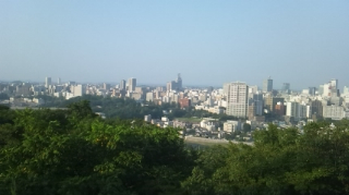 d0191211_20342273.jpg