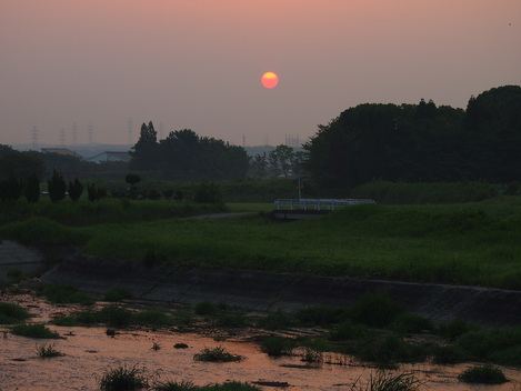 ぼんぼりのような朝陽　　’13/08/14_d0048812_15412845.jpg