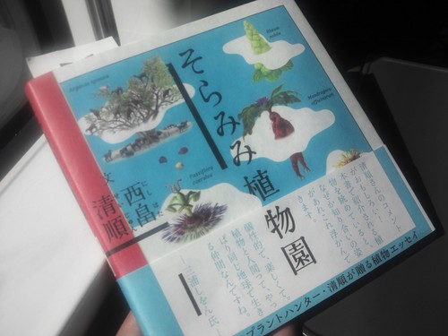 031 そらみみ植物園 おはよう ボク