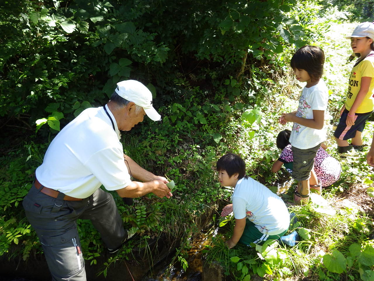 田部環境保全会での水質調査！_a0256619_18382881.jpg